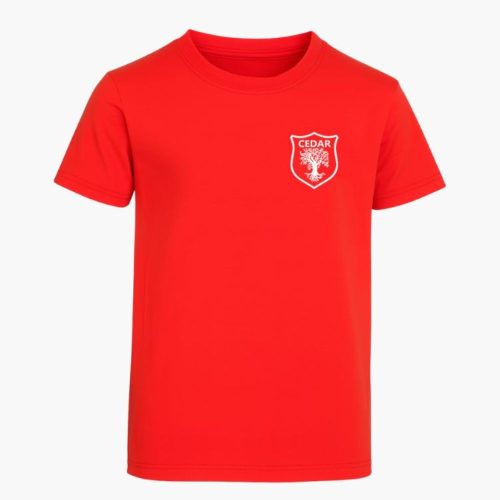Remera deportiva Cedar